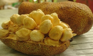 12 Manfaat Buah Cempedak untuk Kesehatan