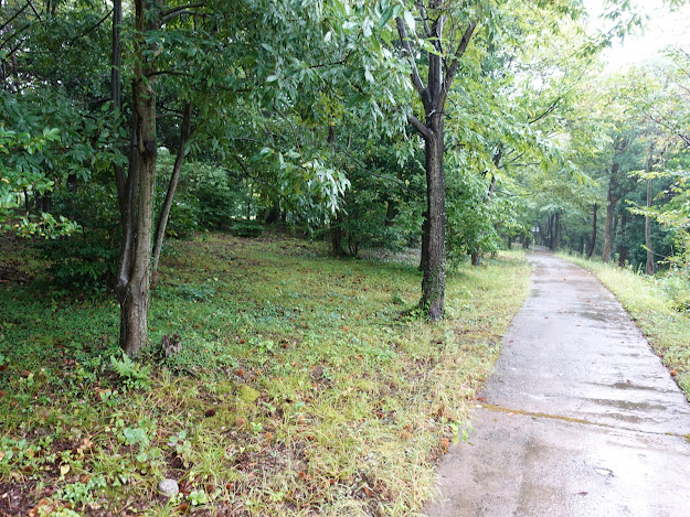 鳥取県西伯郡大山町妻木　鳥取県立むきばんだ史跡公園　弥生の森