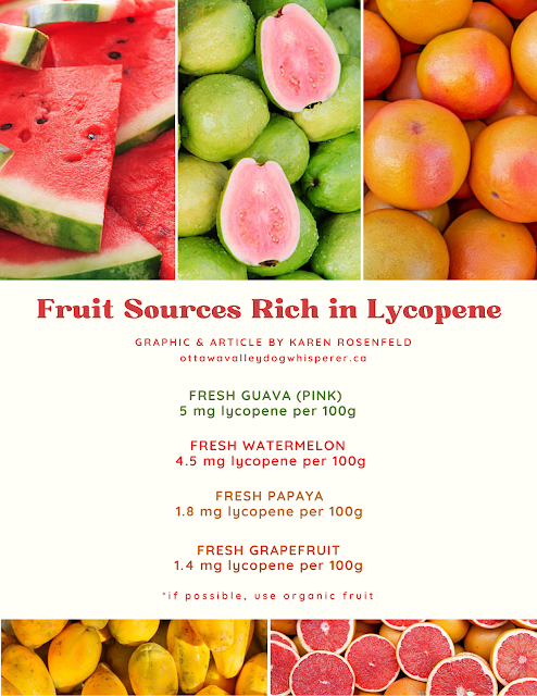 Fruit sources rich in lycopene for dogs and cats