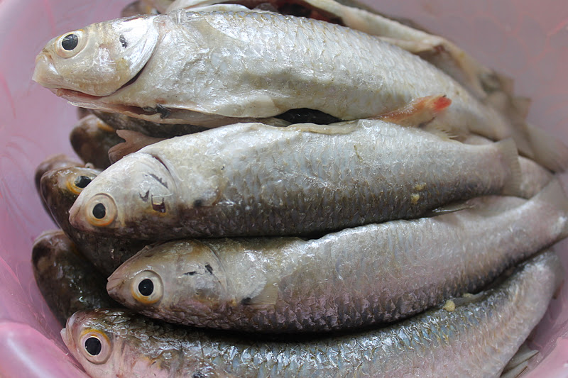 Masak Asam Pedas Ikan Belanak - Azie Kitchen