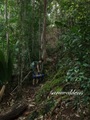 Teluk_Limau_trail_Bako_National_Park_29