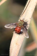 [73]_Estrada_da_Morte_-_Mosca