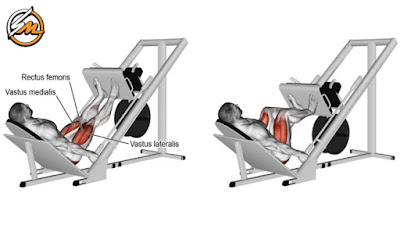 6 Exercise Machines That Help Burn Visceral Fat And Build Muscle