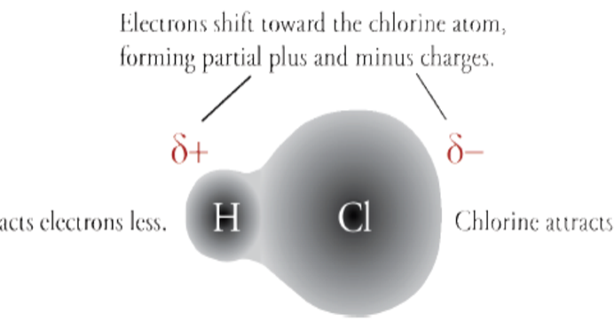 Cara Menentukan Kepolaran senyawa Kimia