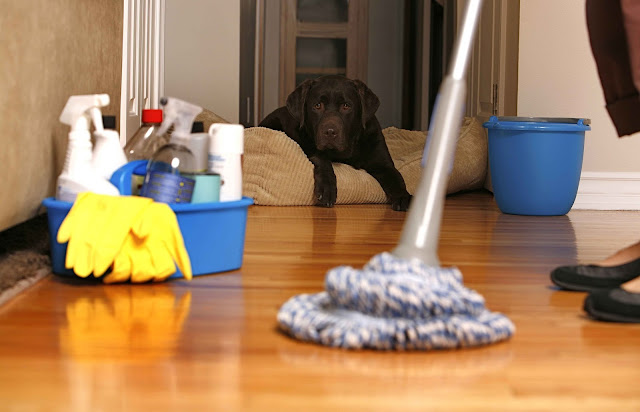 House Cleaning Services Houston