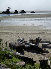 P1000161