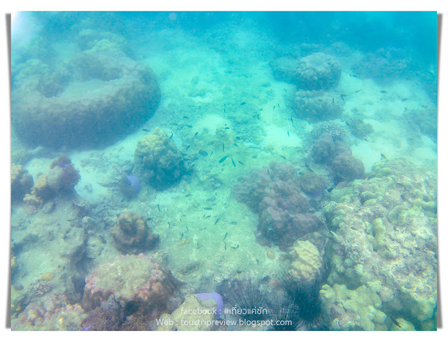 อุทยานใต้ทะเล เกาะขาม (Koh Kham Under Water Park)