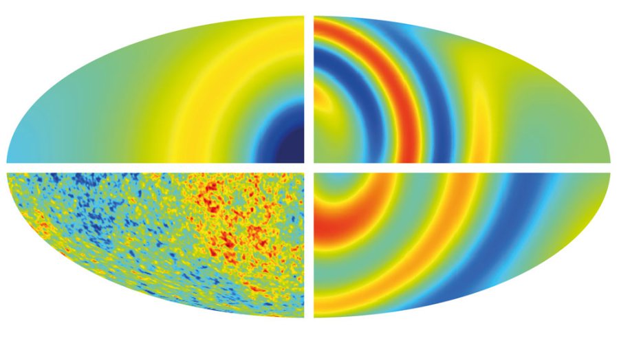 Cosmology safe as universe has no sense of direction