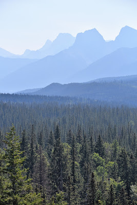 Banff Legacy Trail views of Rocky Mountains Alberta.
