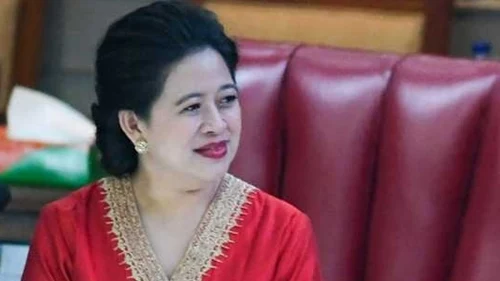 Bekasi Jadi Wilayah Tertinggi DBD, Puan Maharani: Jaga Selalu Kebersihan Lingkungan