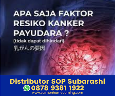 Testimoni SOP Subarashi untuk Kanker Payudara