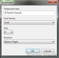 watermark options