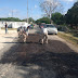  Bases de la transformación en Umán