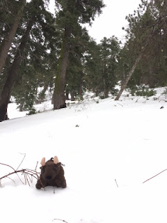 National Park Trust Buddy Bison Program exploring Wrightwood Snow Mountains