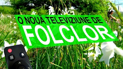 TVR FOLCLOR are licențe de emisie. Va emite și în HD.