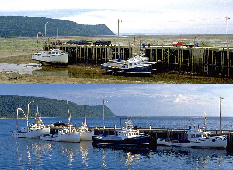 fundy-tides-comparison