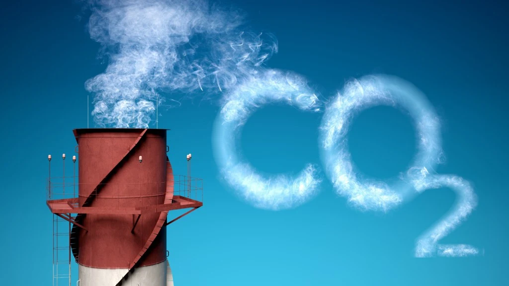 10 Actividades Día Mundial de la Reducción de Emisiones de CO2