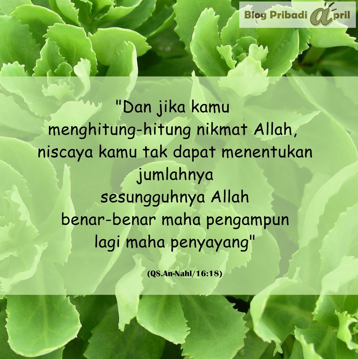 Blog Pribadi April Dp BBM Islami