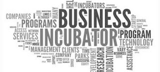 inkubator bisnis