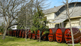 Vinícola Concha y Toro, Chile