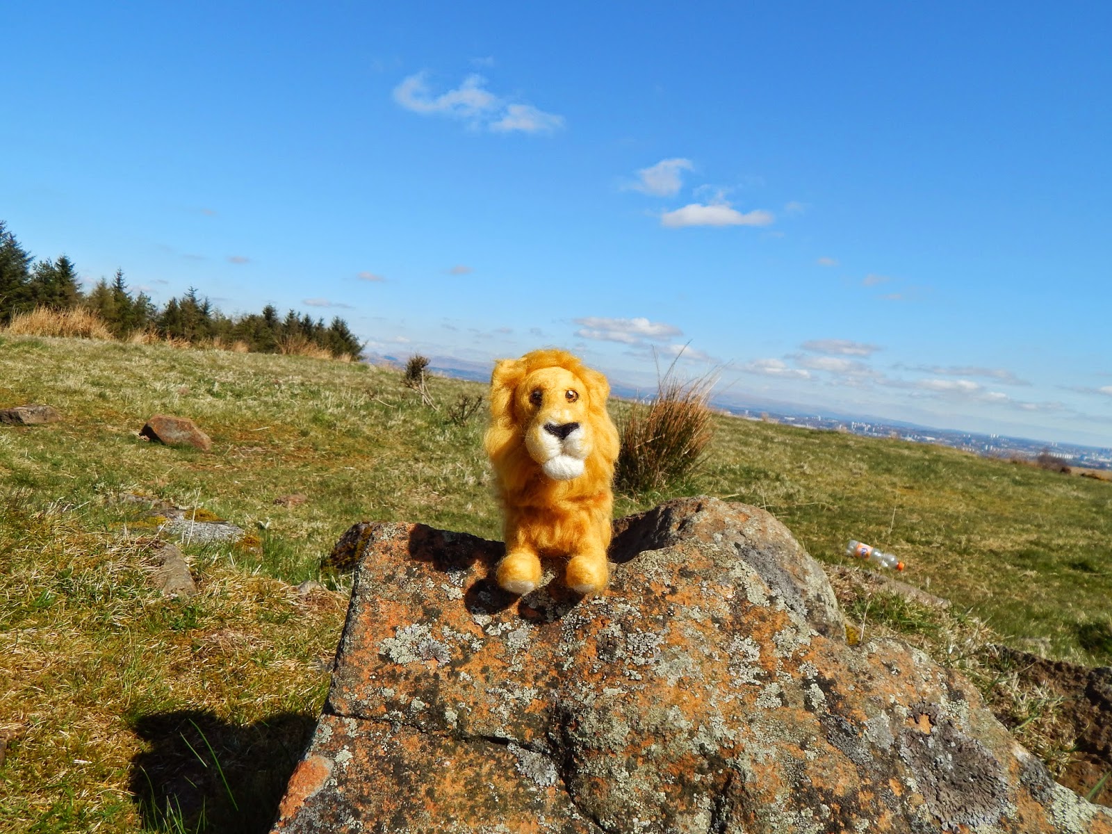  Needle felted Lion 