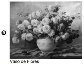 Vaso de Flores