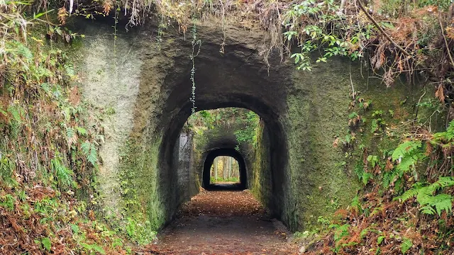 房総半島は柔らかい地質が多く比較的容易に掘ることができるため、素掘りのトンネルが数多くに点在しています。永昌寺トンネル・浦白川のドンドン・月崎トンネル・向山トンネル・清水代トンネル・亀岩の洞窟・奥米隧道・梅ノ木台トンネルなど有名な素掘りトンネルと川廻しを巡るサイクリングコース・チバニアンと鹿野山も