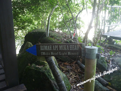 Taman Negara Pulau Pinang, snorkeling, banana bot, pantai, Penang, aktiviti laut, hiking, jungle trekking, sewa bot, memancing