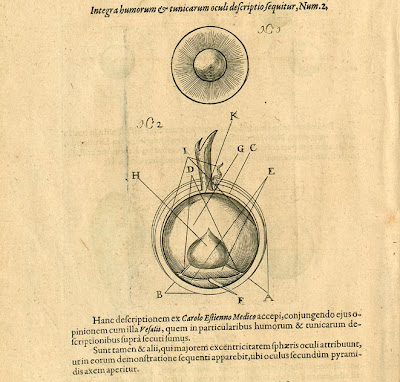 Fludd - Pars IV Liber Primus p300 eye anatomy