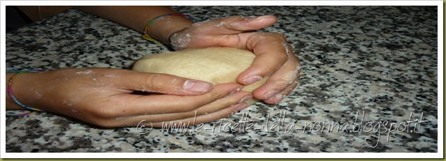 Biscotti al burro con zucchero di canna (5)