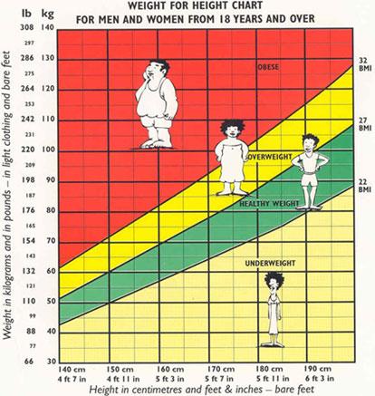 Skatt Utleie Body Weight Index