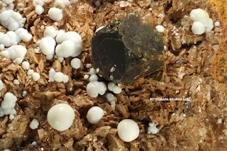 Pirita e Hidrocincita globular sobre dolomita, Mina Hermosa, Udías, Cantabria, área 1 cm 