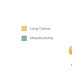 The Different Mesothelioma Survival Rates