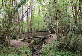 Bridge in the woods behind Queen Victoria Hospital, near East Grinstead.  21 May 2014.