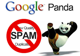 History Of Search Engine Optimization-panda updation