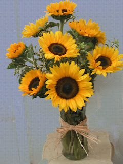 vissers sunflowers