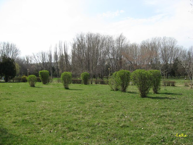 Constanta lake-garden