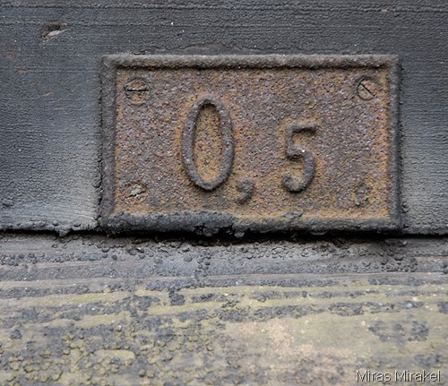 _DSC0191b