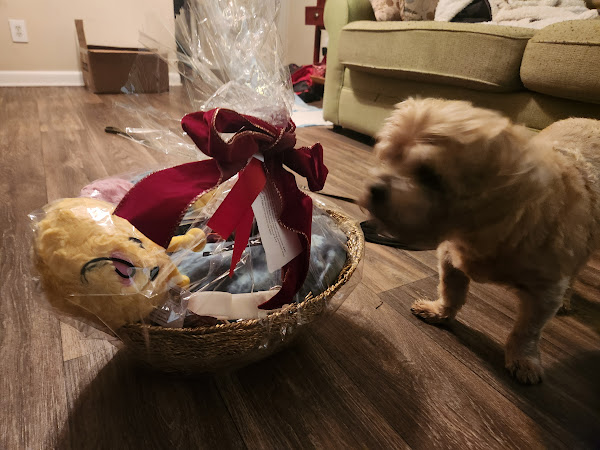 Pep Up Your Pup with Fabulous Furry Friends Gift Baskets! Giveaway included! 