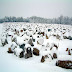 The haunting Winter War monument in Suomussalmi