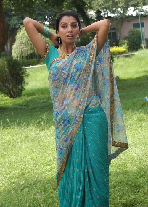 madhulika in saree photo gallery