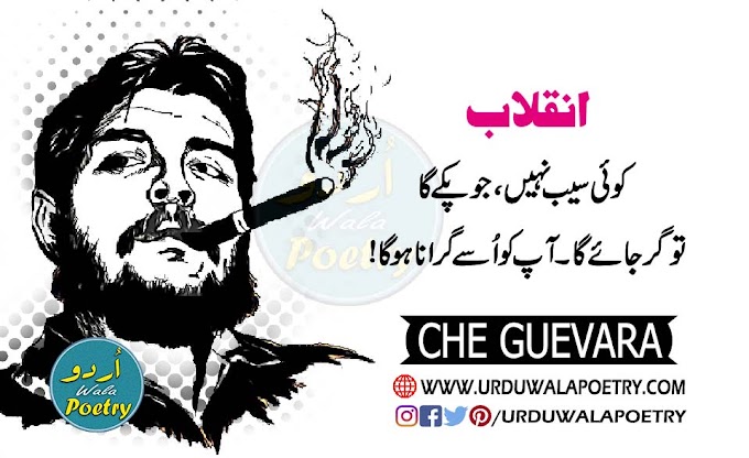 Che Guevara Quotes | Aqwal in Urdu | Motivational Cheguevara Quotes