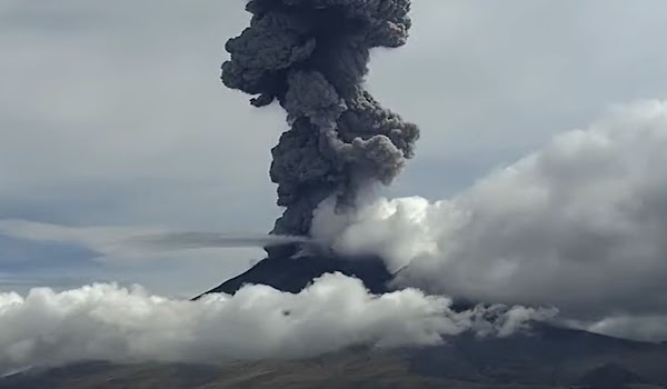 Volcán Popocatépetl registra 2 fuertes fumarolas; advierten por caída de ceniza