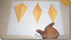 SAM_0458