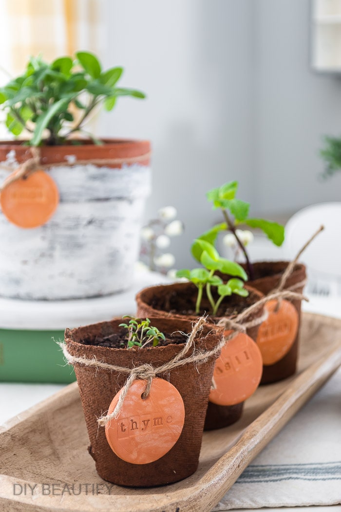 Easy Terracotta Clay Herb Markers - DIY Beautify - Creating Beauty at Home