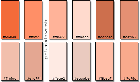  Warna Orange 84179 INTERIORDESIGN