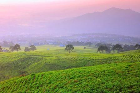 Gunung Dempo