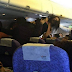 Fight Erupts On A Plane As Passengers Exchange Punches