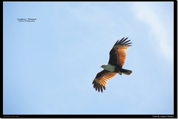 langkawi153