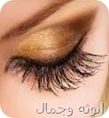 رمش العين